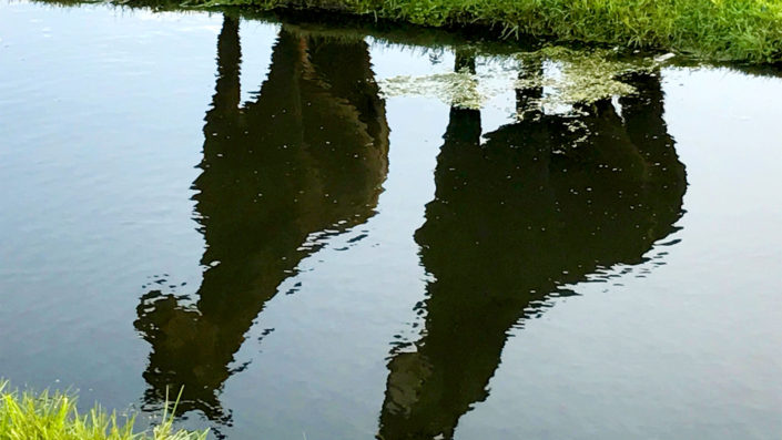 Reflectie van paarden in sloot